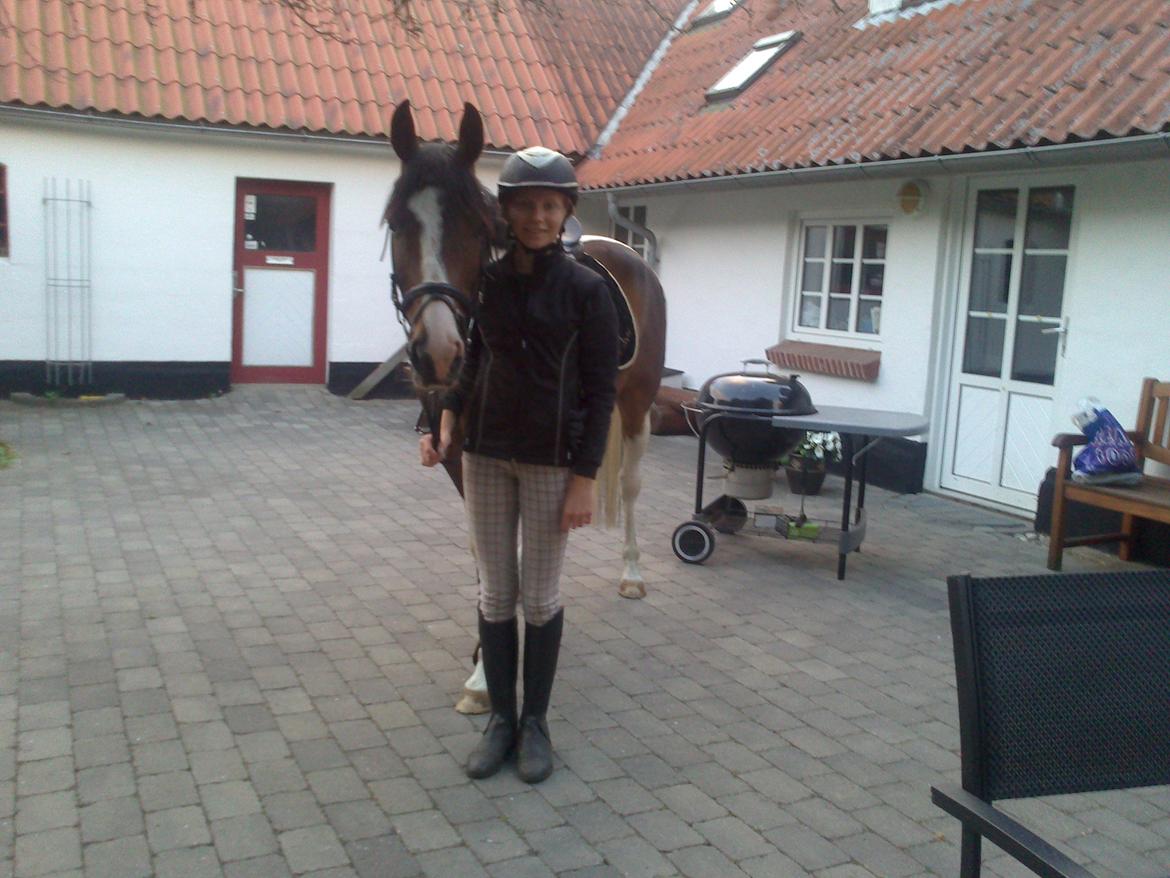 Pinto Pride billede 17