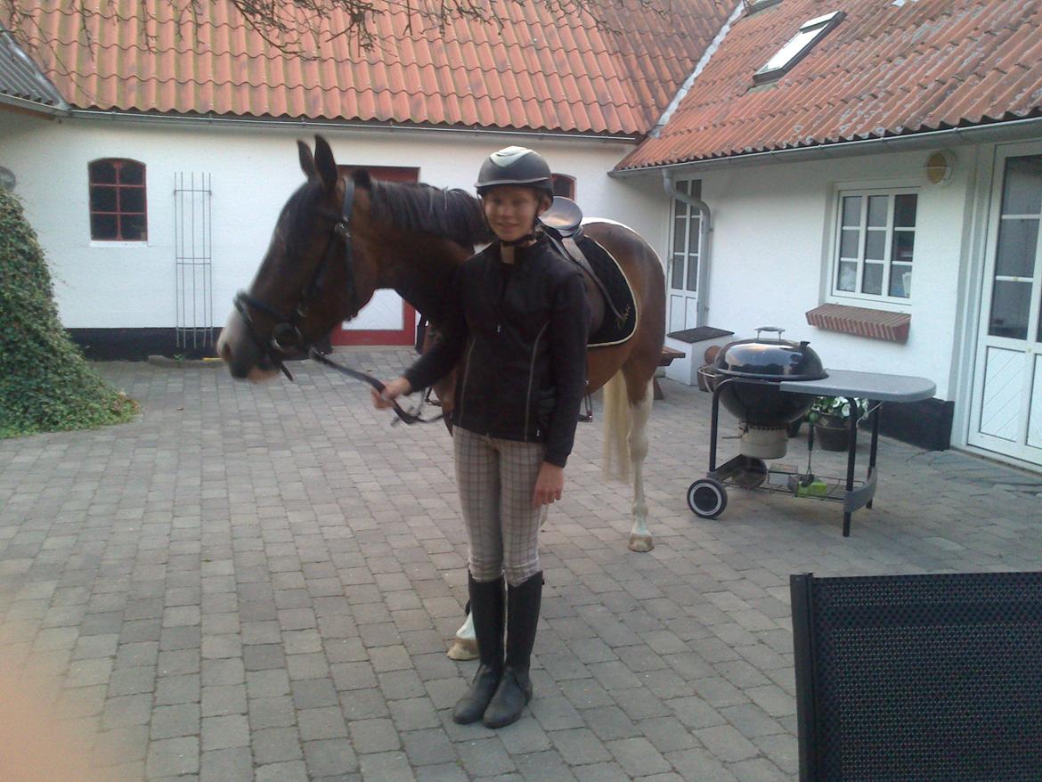 Pinto Pride billede 9