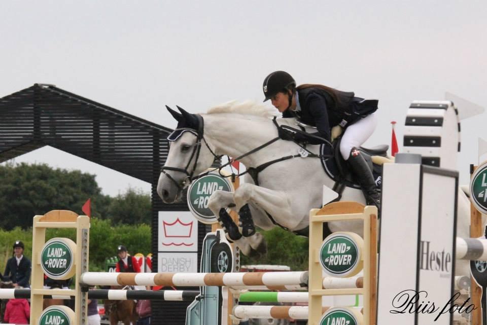 Dansk Varmblod NICE FELLOW - 135 cm MA* landsstævne, Vilhelmsborg 2013. billede 20