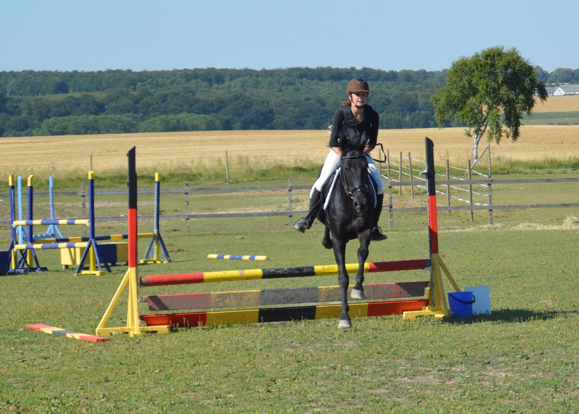 Anden særlig race zorro <3 prinsen <3 - hey og velkommen til <3 lig gerne en kommentar og bedømmelse<3 billede 1