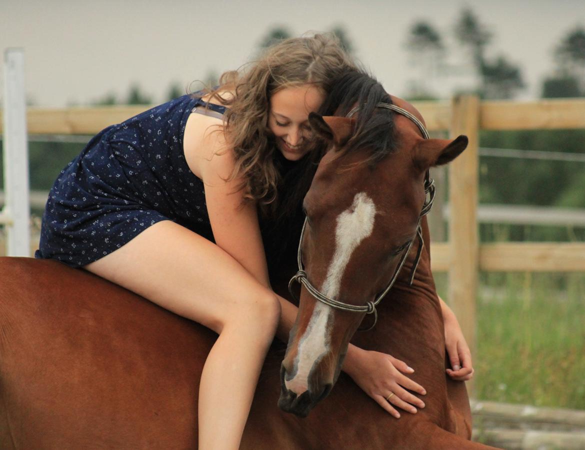 Anden særlig race Atento M.A.T.C.H - Mit hjerte er forevigt hans.. 18 års fødselsdag, d. 8 August 2013.  billede 2