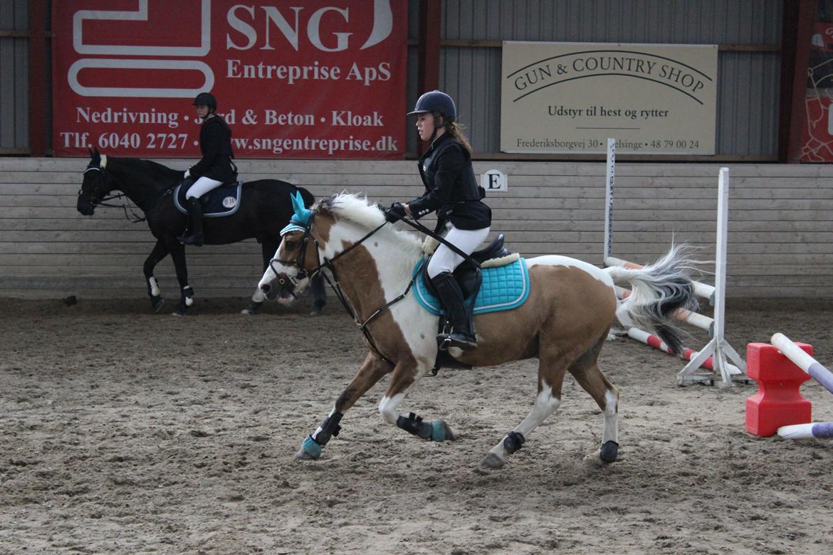 Pinto Stald poppels Hollywood Holy-man R.I.P MIN ENGEL billede 10