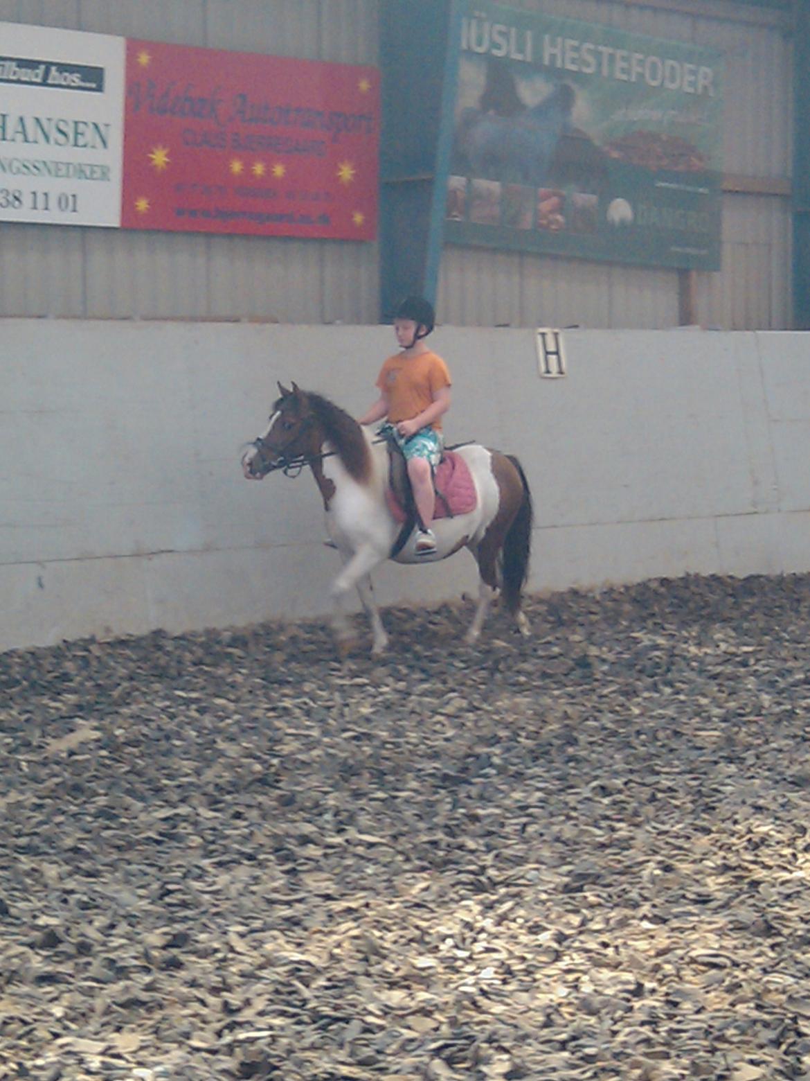 Anden særlig race Beauty billede 7