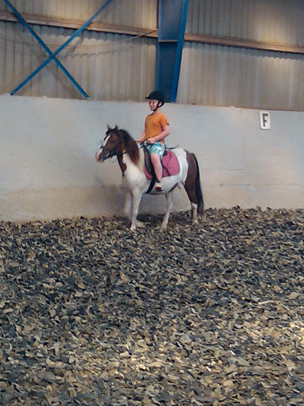 Anden særlig race Beauty billede 9