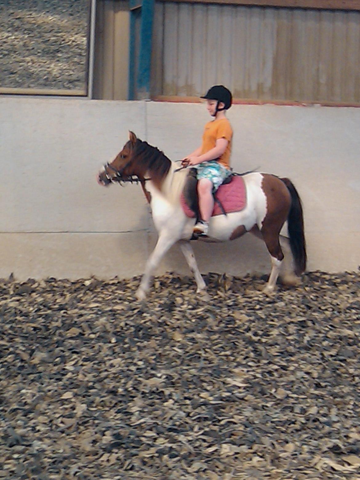 Anden særlig race Beauty billede 10