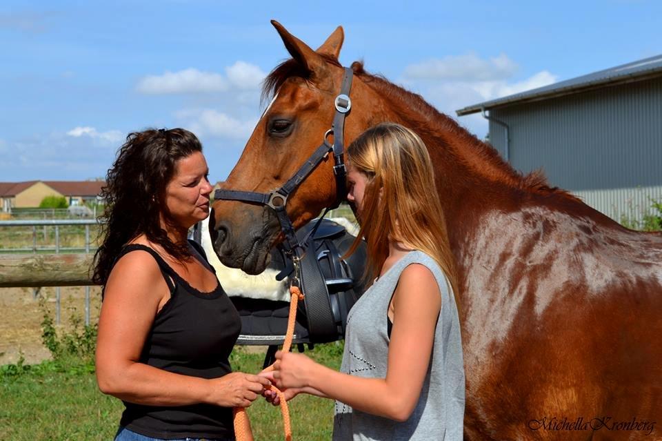 Anden særlig race Indian Star - Foto taget af: Michella Kronberg. billede 14