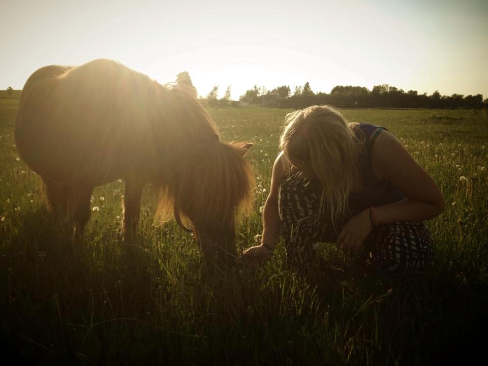 Shetlænder Sofus - Maj 2013<3 billede 5