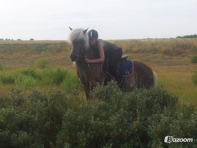 Islænder Así - Best friends stick together till the end,
They are like a straight line that will not bend.

They trust each other forever,
No matter if you're apart you are together. <3 billede 12