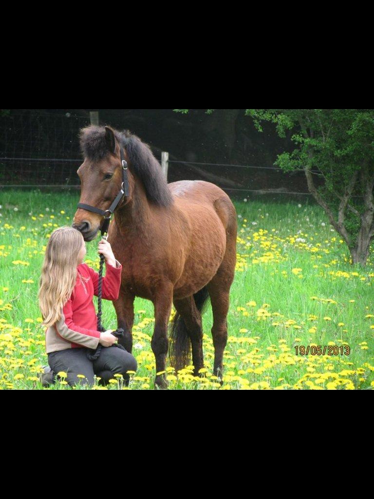 Anden særlig race Annabella billede 1