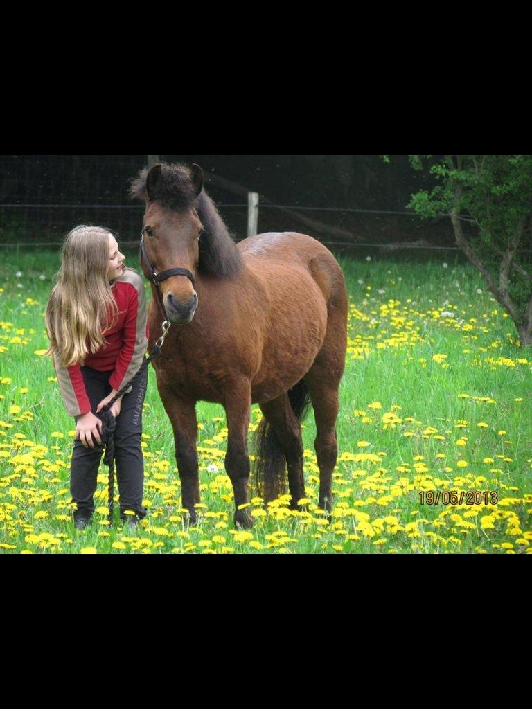 Anden særlig race Annabella billede 4
