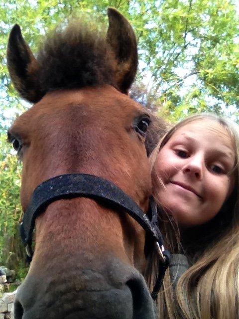 Anden særlig race Annabella billede 6