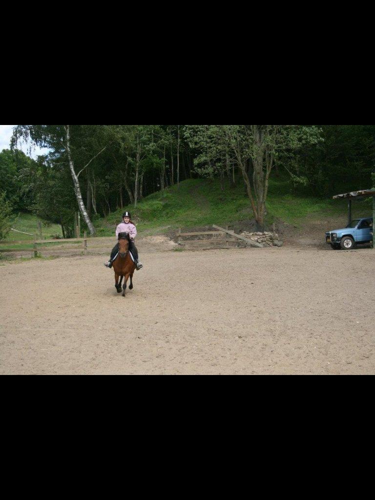 Anden særlig race Annabella billede 7