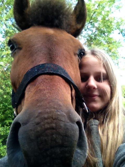 Anden særlig race Annabella billede 8