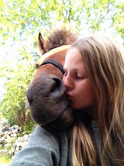 Anden særlig race Annabella billede 9