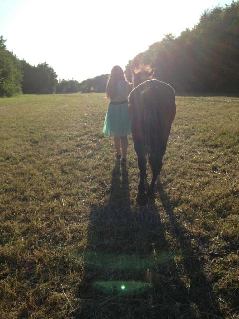 Anden særlig race Annabella billede 10