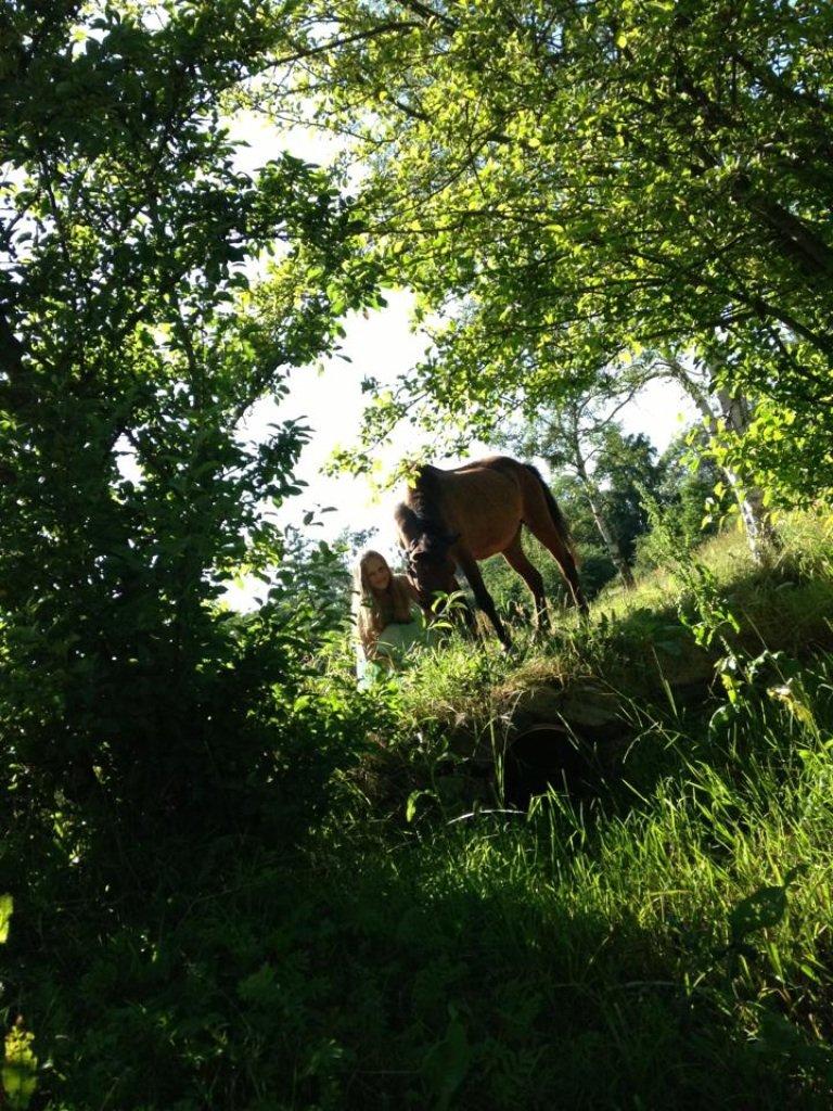 Anden særlig race Annabella billede 11