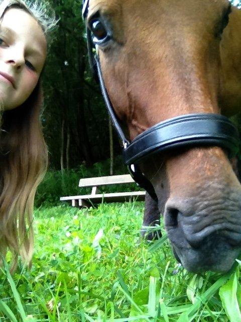 Anden særlig race Annabella billede 17