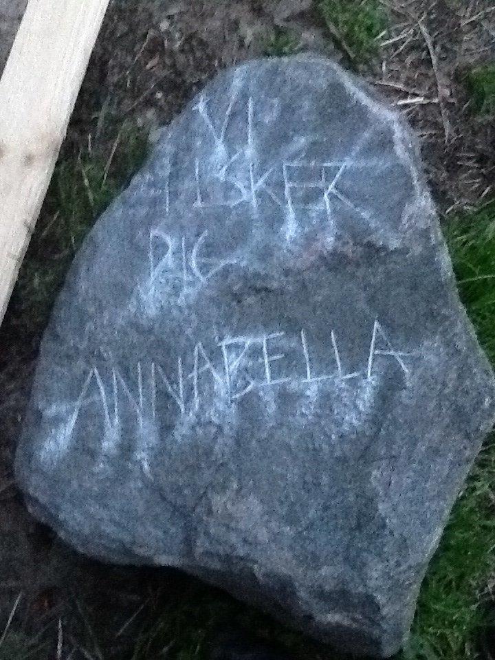 Anden særlig race Annabella billede 20