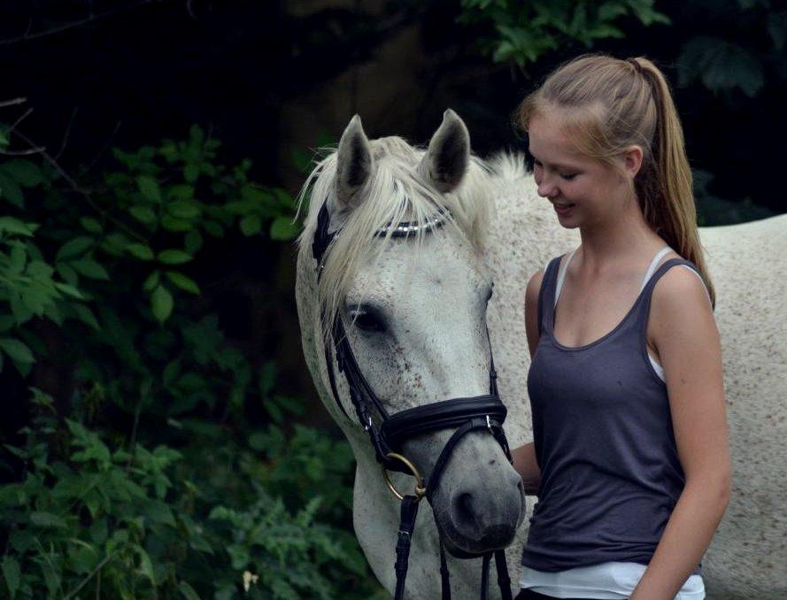 Arabisk fuldblod (OX) Lady Charlott OX - Foto: Hauge foto billede 2