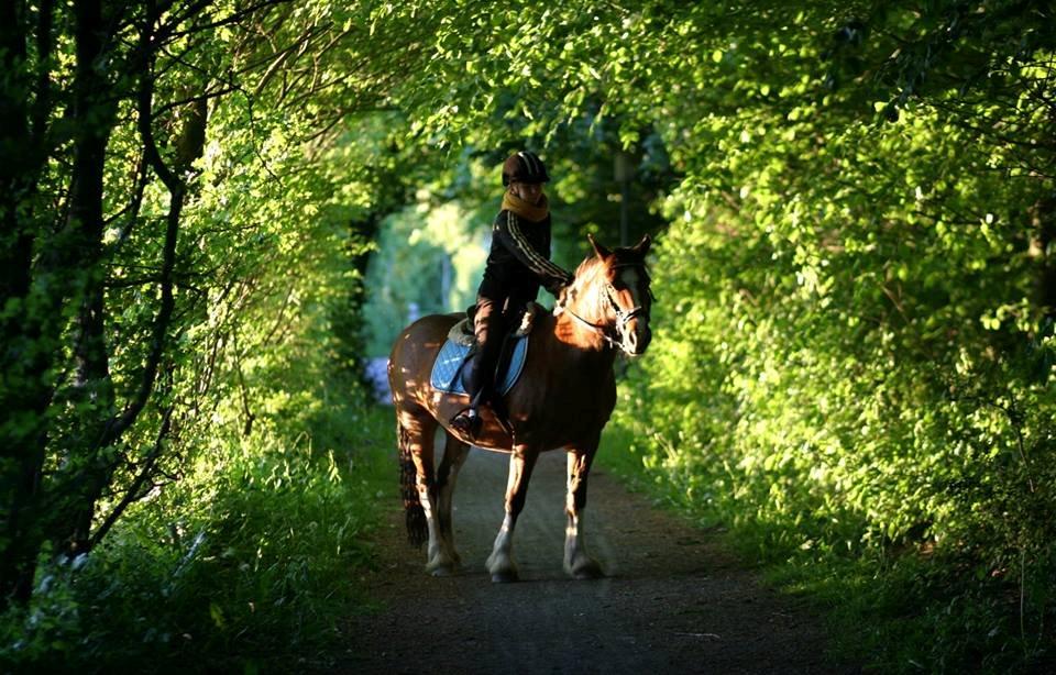 Anden særlig race Hesdalskær's Victoria - Juni 2013 ♥. billede 19