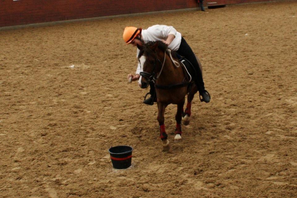 Anden særlig race Flicka billede 15