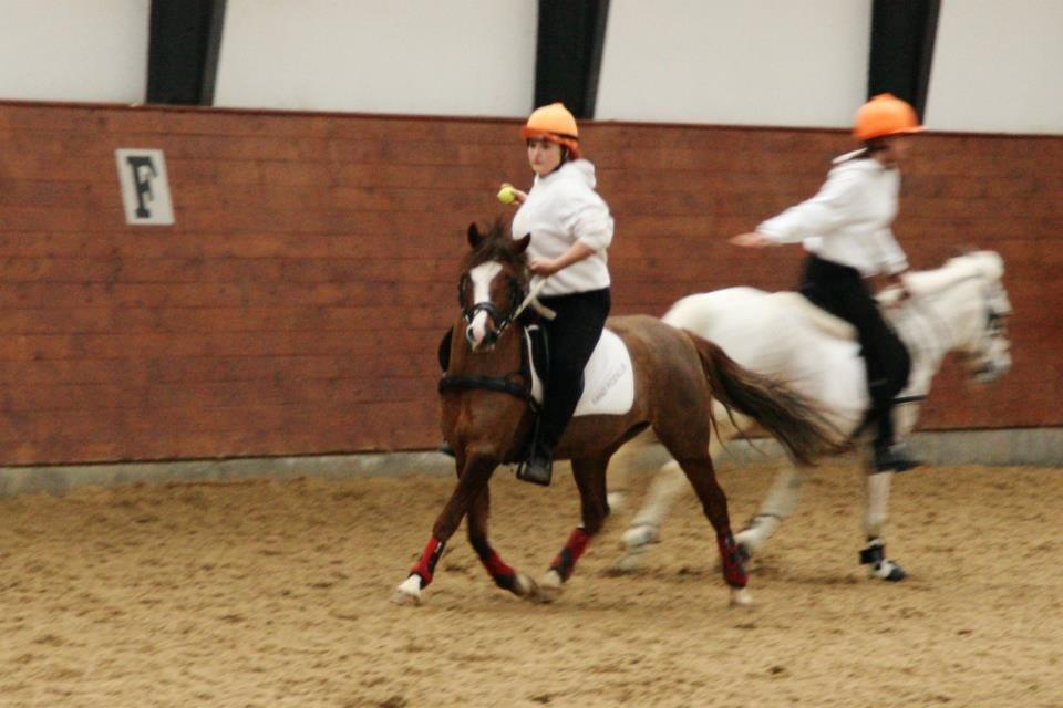 Anden særlig race Flicka billede 17