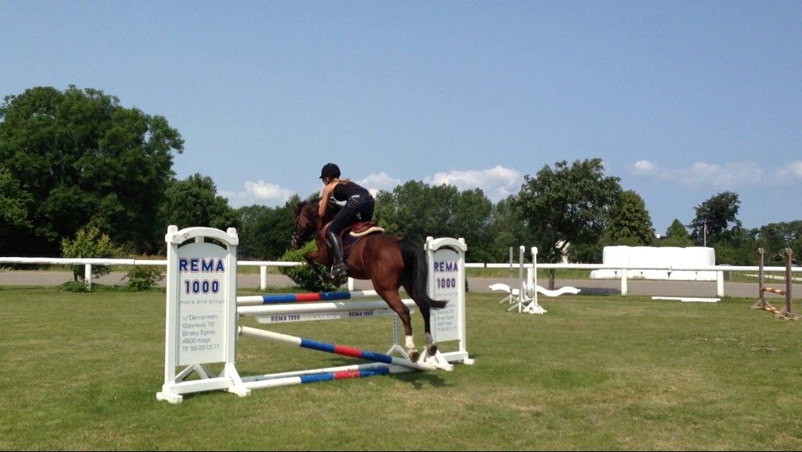 Anden særlig race Jiva billede 3