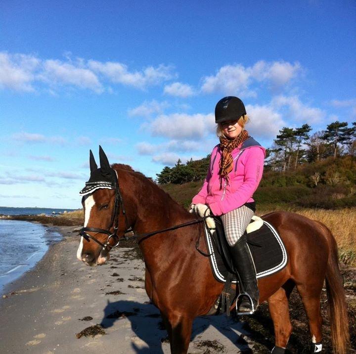 Sportsaraber (A) Bashir - På stranden :) Han r bare fantastisk på tur billede 12