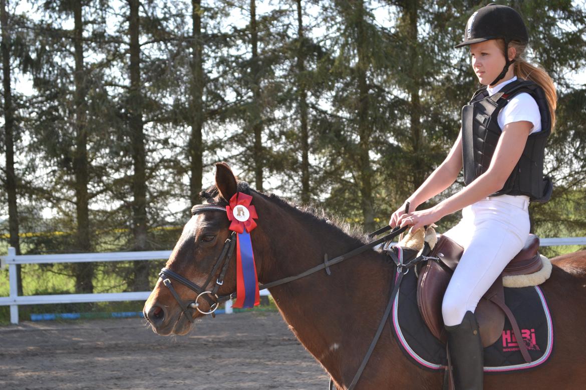 Anden særlig race Jiva billede 9