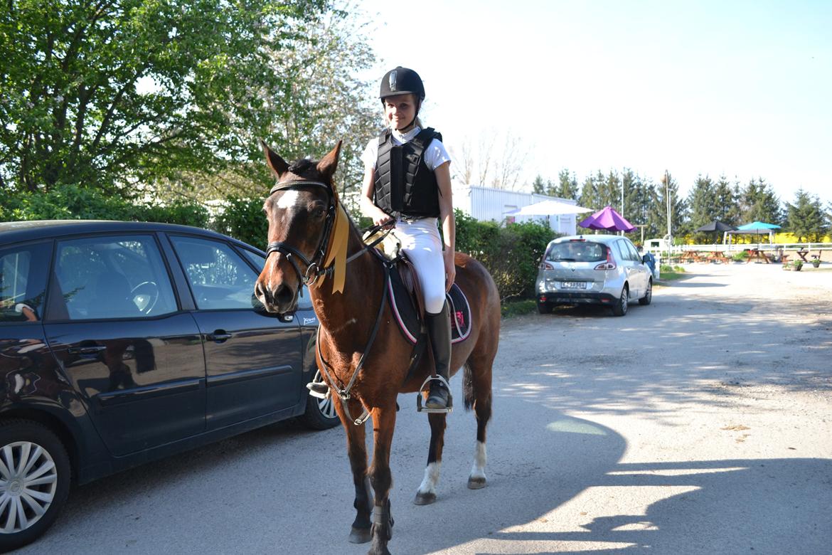 Anden særlig race Jiva billede 11