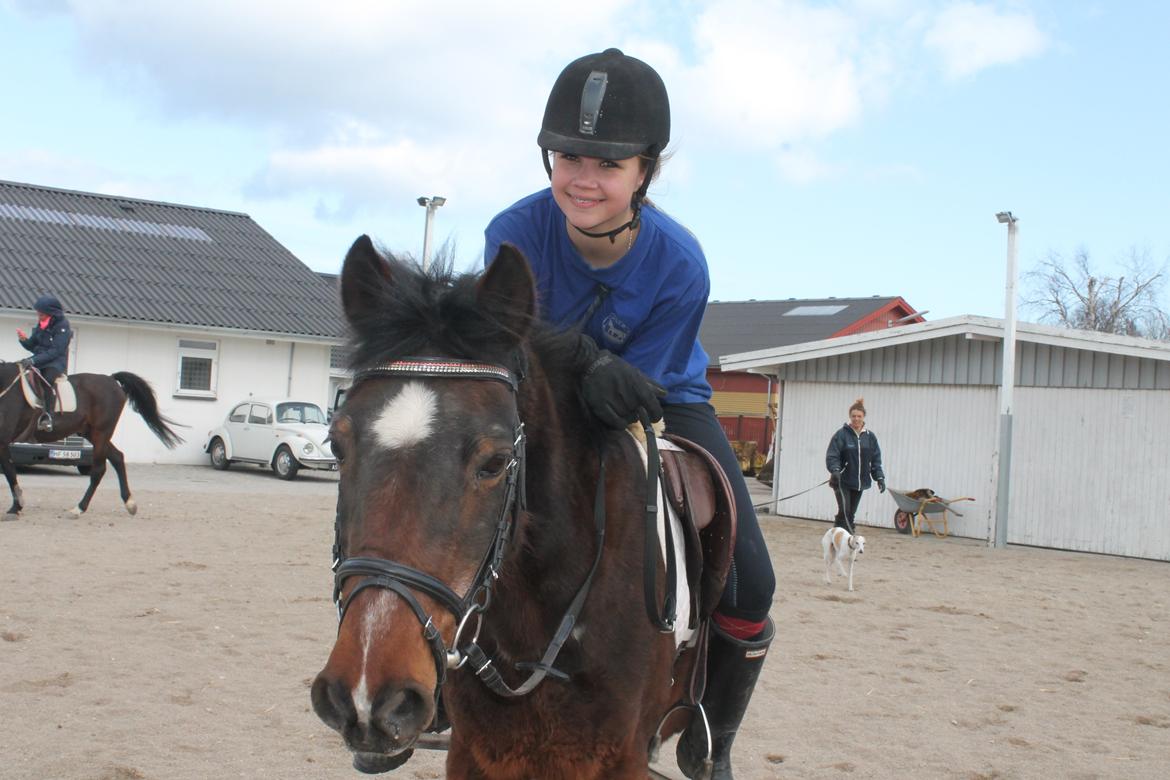 Anden særlig race Jiva billede 13