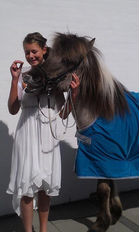 Islænder Kviða fra Hellu - Da hun lige havde lært at smile❤ billede 2