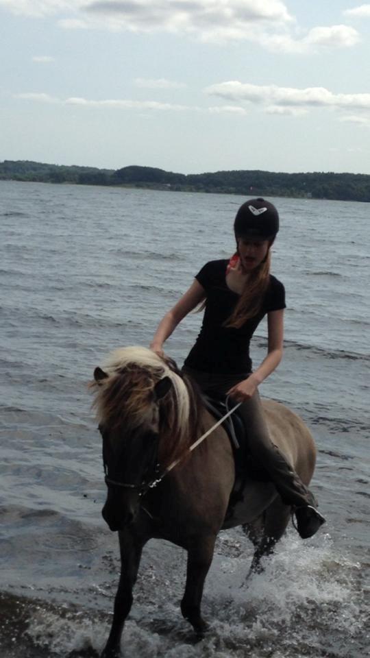 Islænder Kviða fra Hellu - Kviða og mig ved Vejle Fjord❤ billede 10