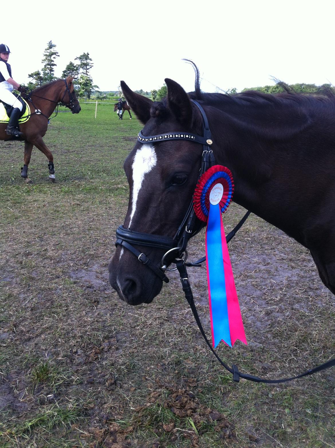 DSP Debbie - Træt efter et super springstævne<3 billede 14