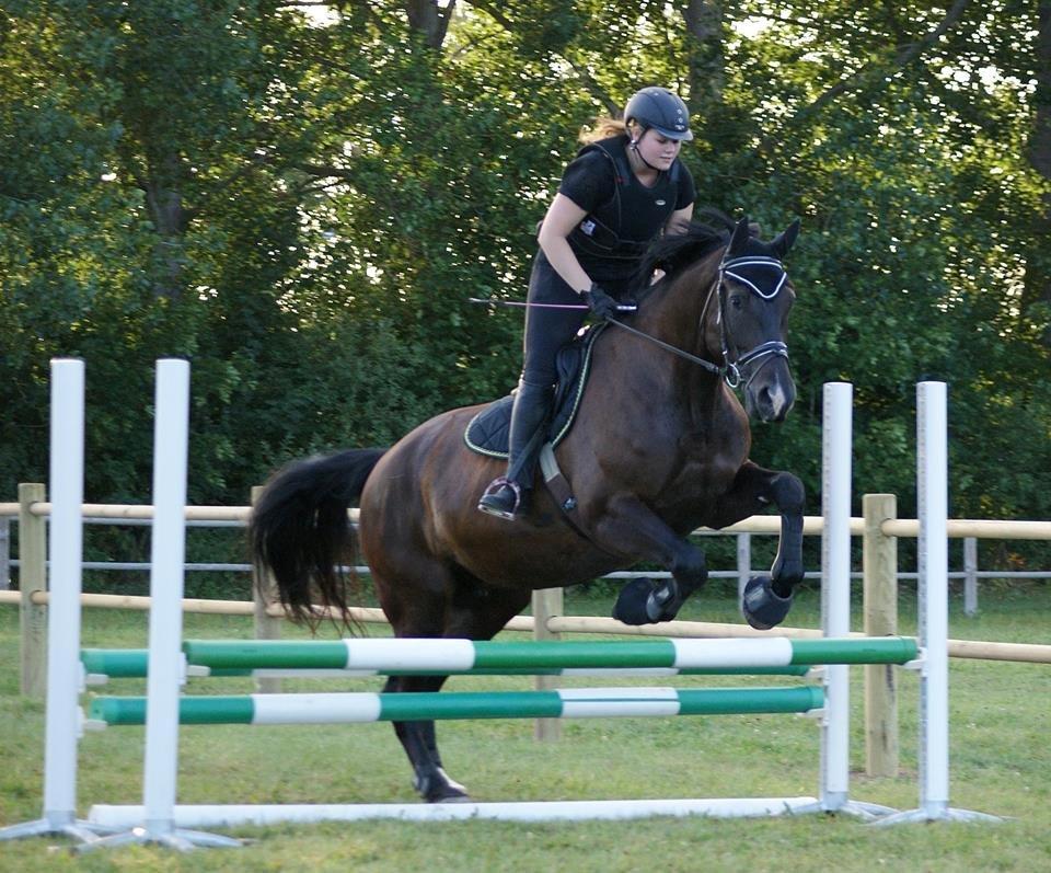 Oldenborg Black Diamond (solgt) billede 9