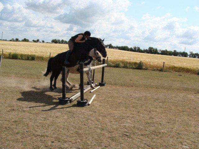 Anden særlig race Ydun billede 2