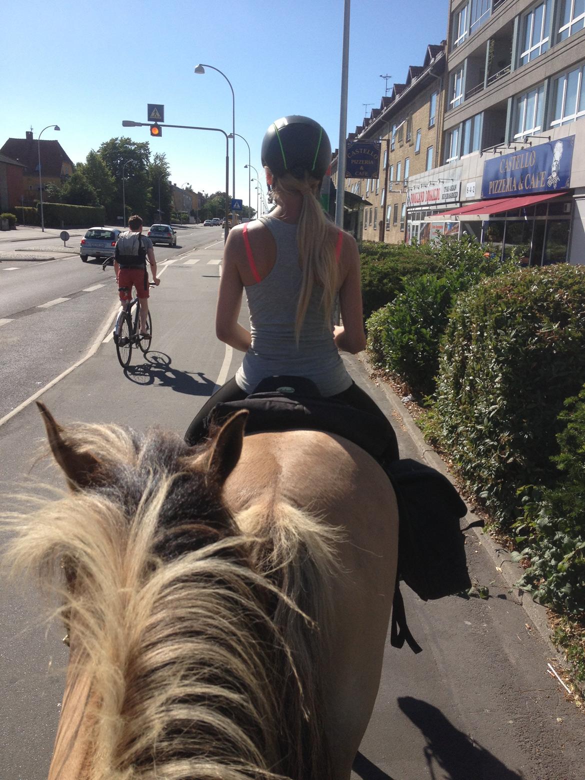 Anden særlig race Momrik [Min baby] - Igennem Roskilde by - på vej hjem fra tur(-; Drengene var så seje!(-; billede 5
