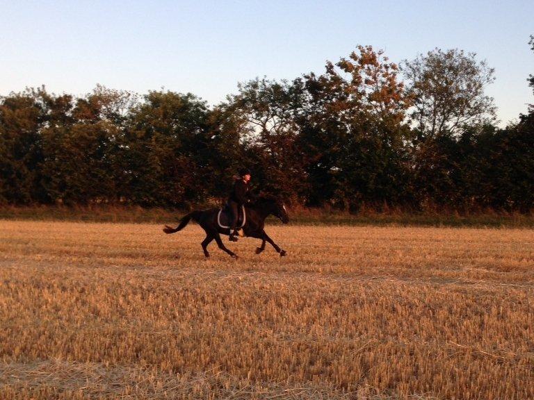 DSP Debbie - Det bedste vi ved! billede 8