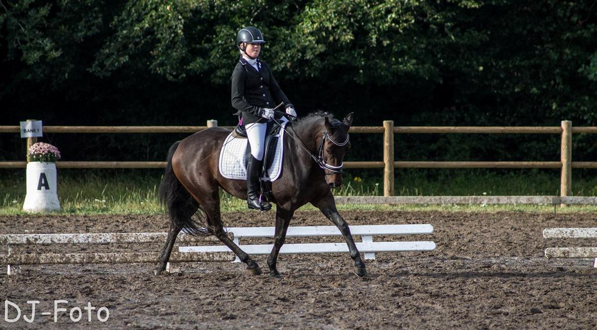 DSP Kjær's Calderina - Lc1 til 73,8 % 2 Plads.
Lc2 til 72,7 % 3 Plads.
Det var en % klasse så vi var 30 starter. billede 14