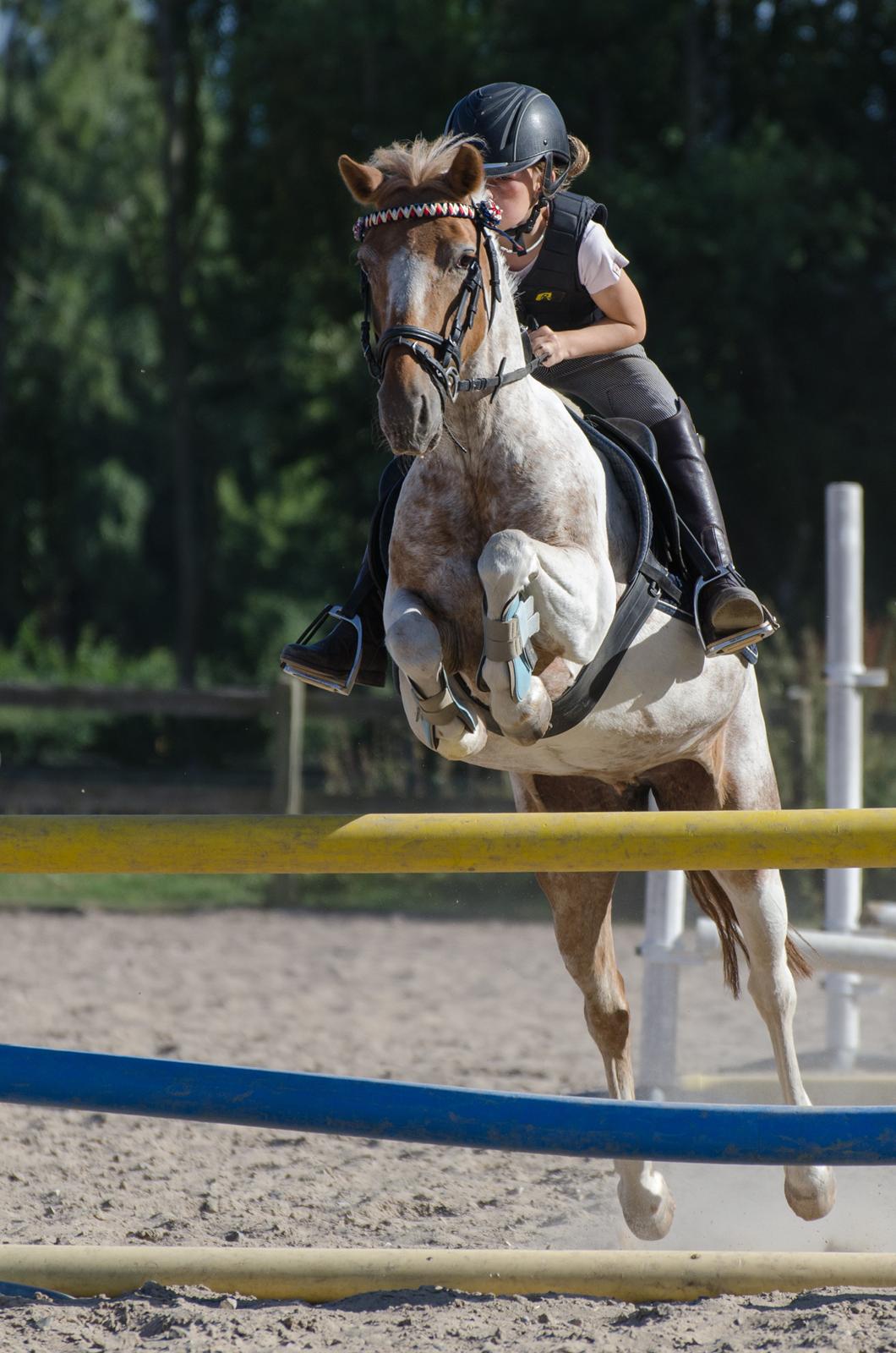 Anden særlig race Bonny billede 19