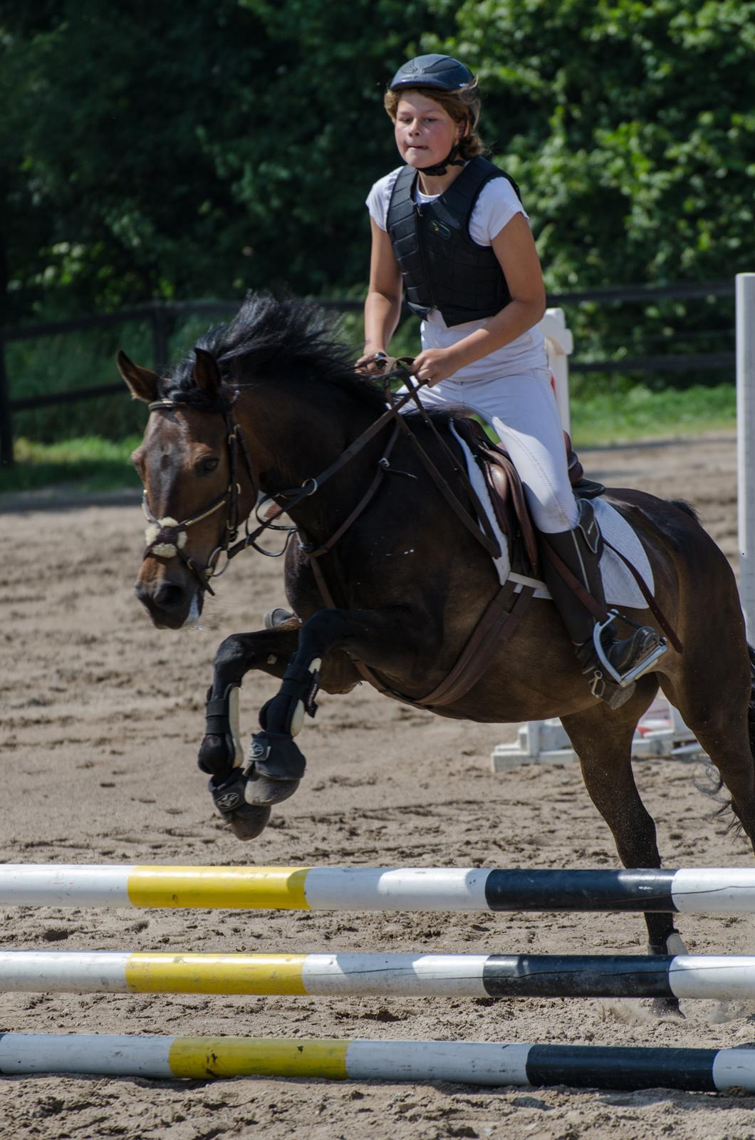 Anden særlig race shannon/shane - stævne på NSR :-)  billede 12