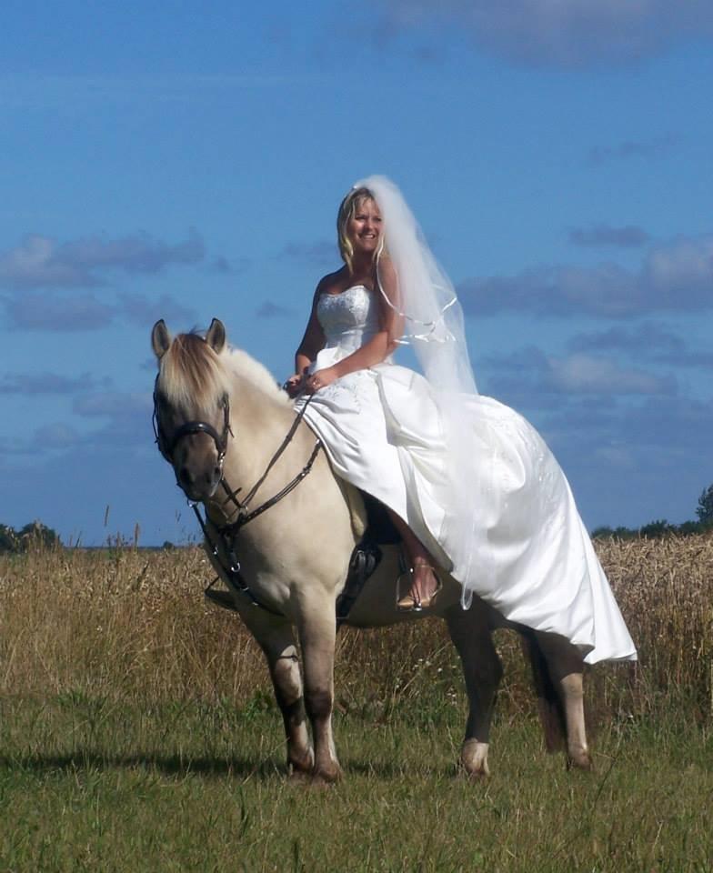 Fjordhest Imke - vi er da fine;O) billede 1