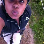 Fjordhest Dito Tidselbjerg [Rider]