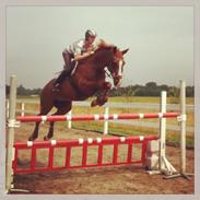 Dansk Varmblod N.O.H's Calina (Himmelhest) :'(