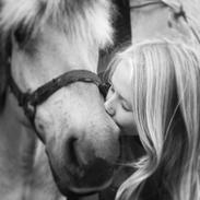 Fjordhest Seiko-Boy <3