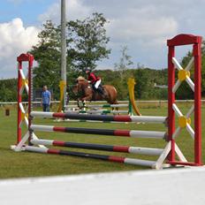 DSP Miss Butterfly (solgt)