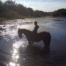 Anden særlig race Mr. Lonely [Der var engang..]