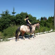 Knabstrupper Nørremarkens Maláco