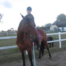 Anden særlig race Babe