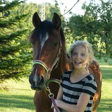 Anden særlig race Clarikken